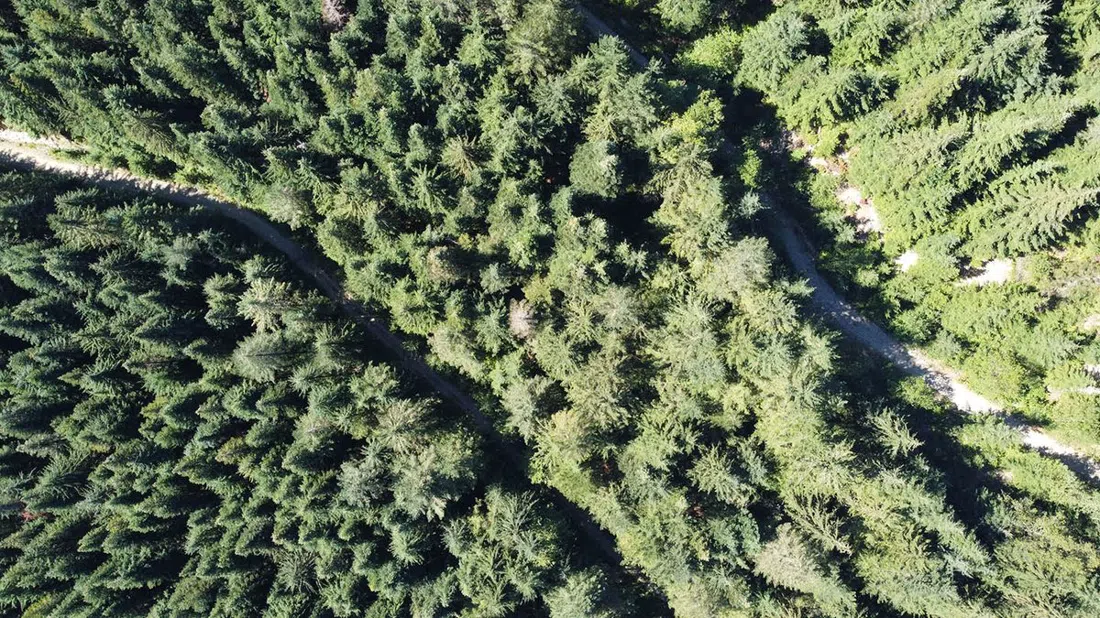 Cypress Mountain, Vancouver