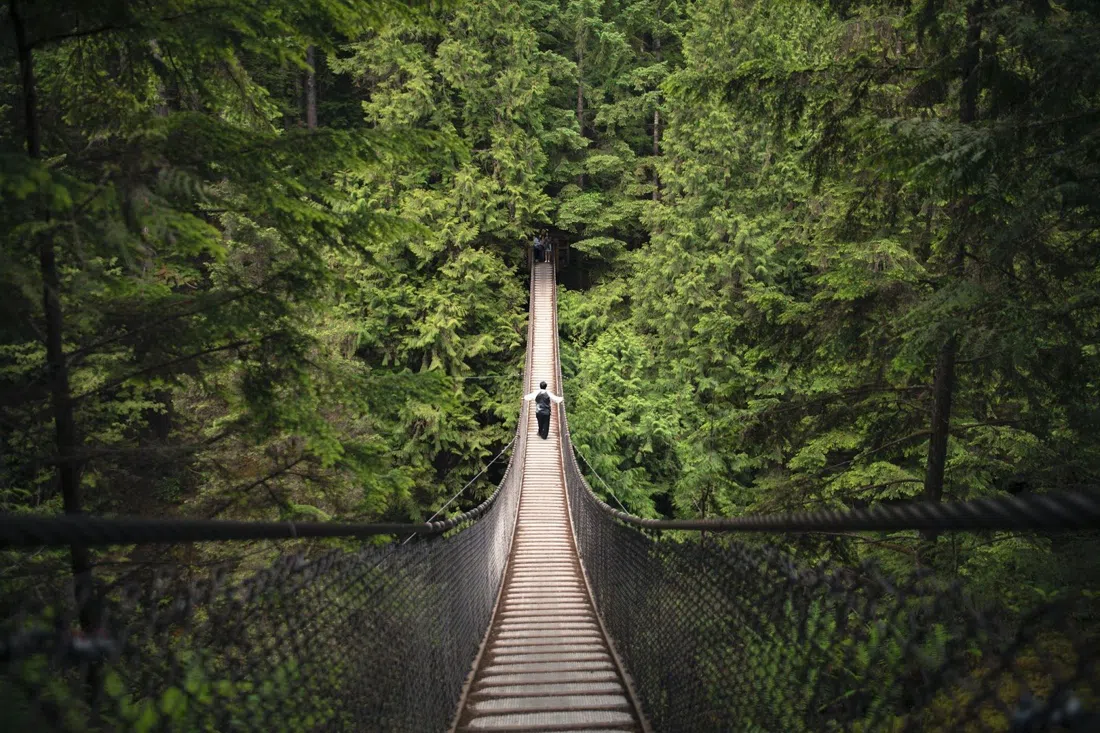 Lynn Canyon Park, Vancouver