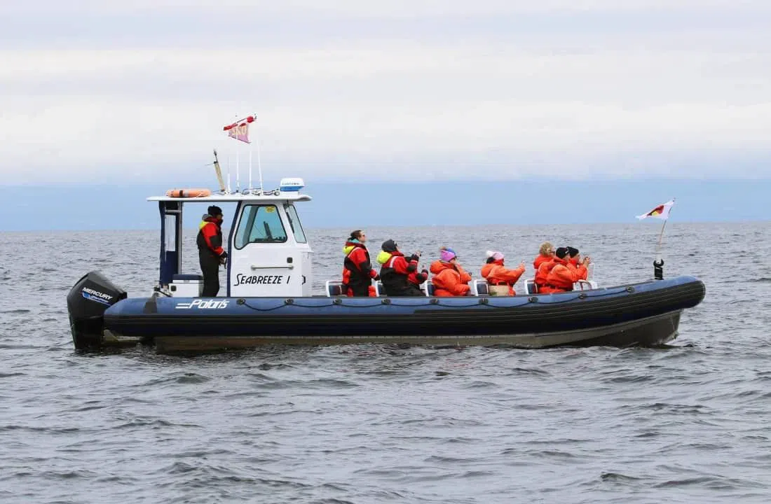 Steveston Seabreeze Adventures Steveston