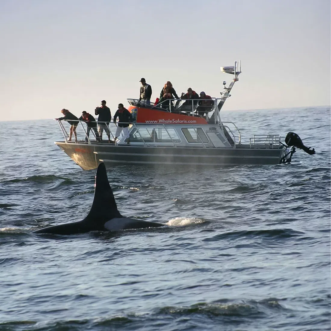 West Coast Aquatic Safaris Granville Island Steveston