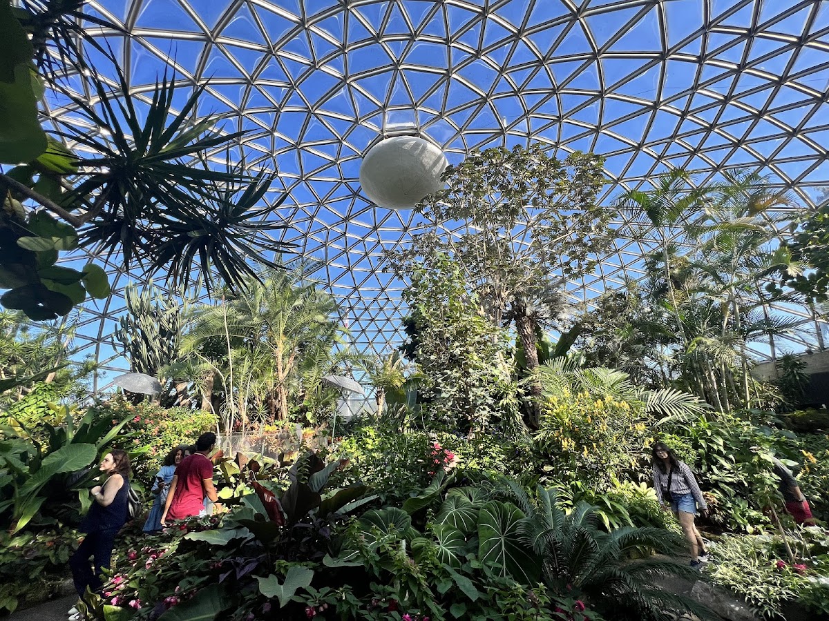 Bloedel Conservatory, Vancouver