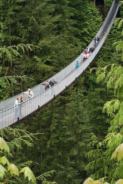 Capilano Suspension Bridge, Vancouver
