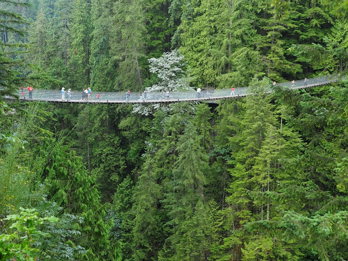 Capilano Suspension Bridge — photo 2