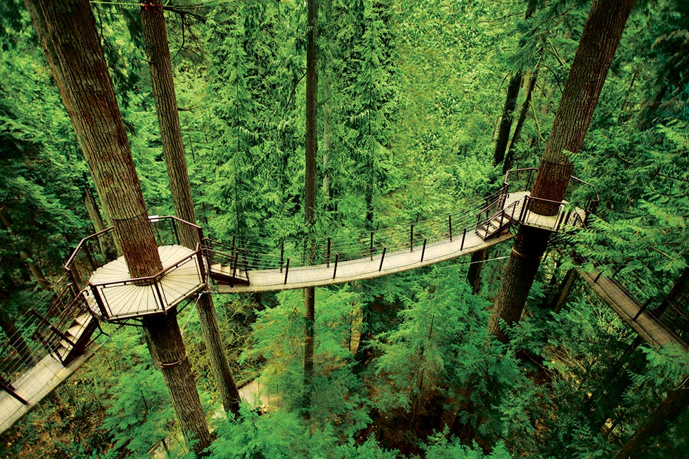 Capilano Suspension Bridge — photo 3