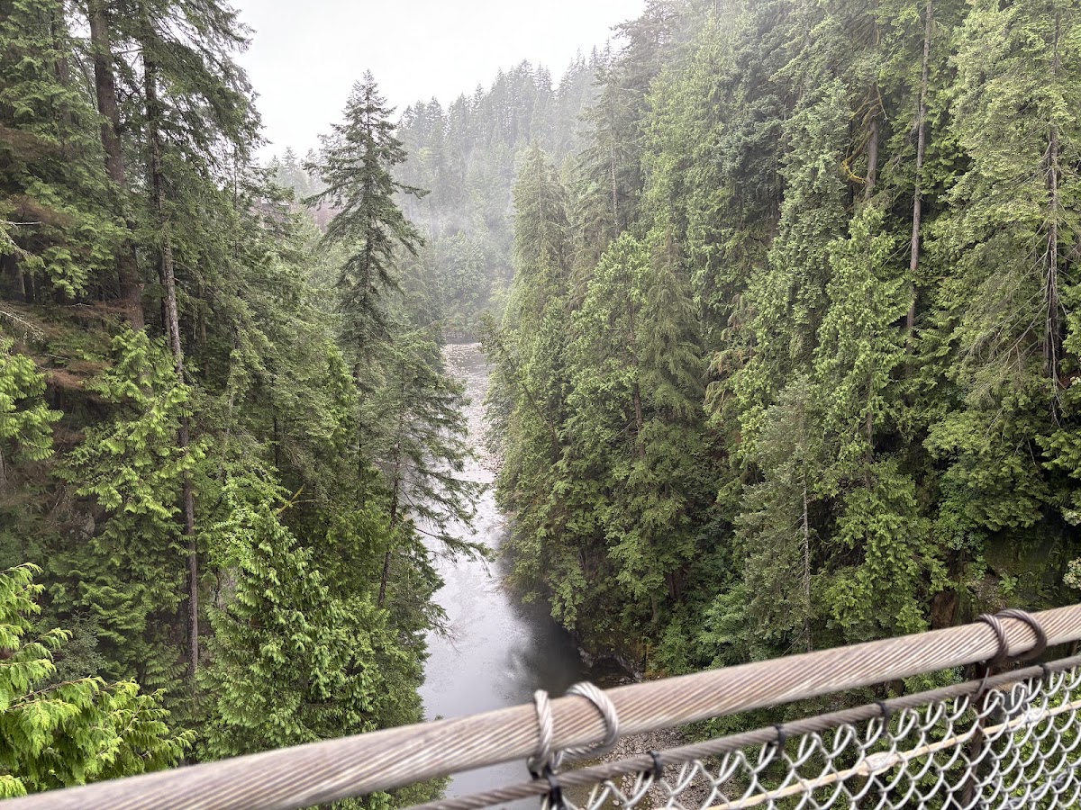 Capilano Suspension Bridge — photo 4