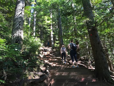 Hike the Grouse Grind