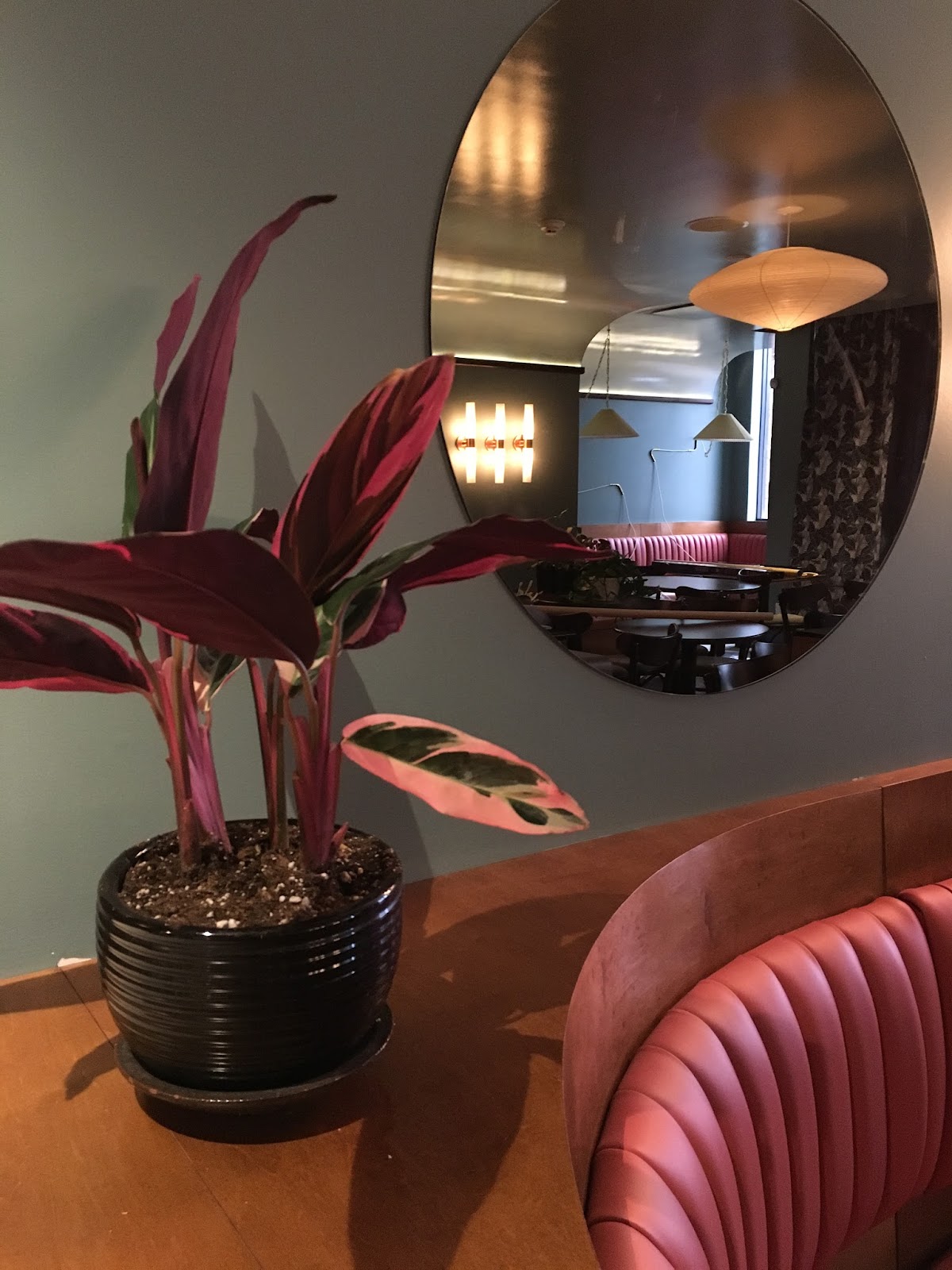 Kissa Tanto — photo 2