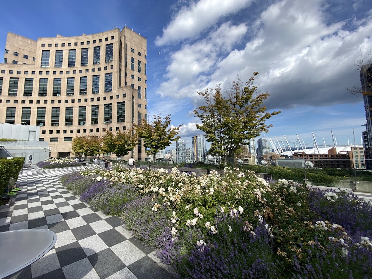Vancouver Public Library Central Branch — photo 4